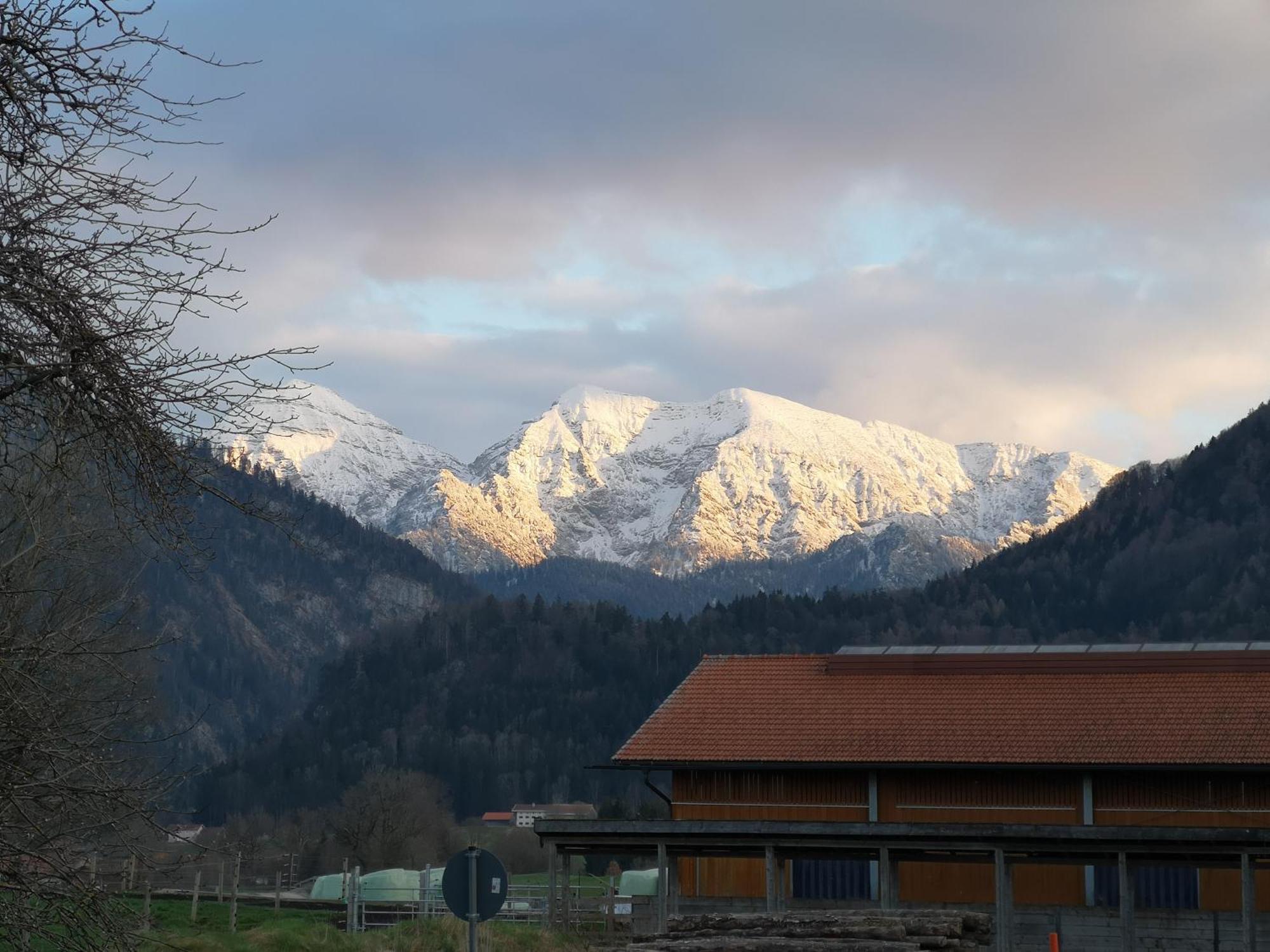 Ferienwohnung Am Wasen Inkl. Chiemgaukarte Ruhpolding Zewnętrze zdjęcie